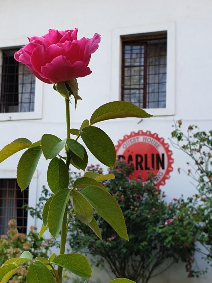 Barlin Guesthouse Grill&Camping Shkoder Exterior photo